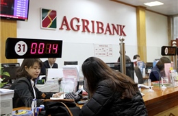 Agribank hỗ trợ khách hàng chịu thiệt hại do thủy, hải sản chết 